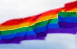 Rainbow Flags